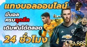 แทงบอลมือถือ