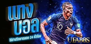 แทงบอล079