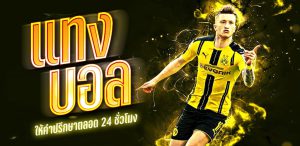 แทงบอลคู่คี่UFABET