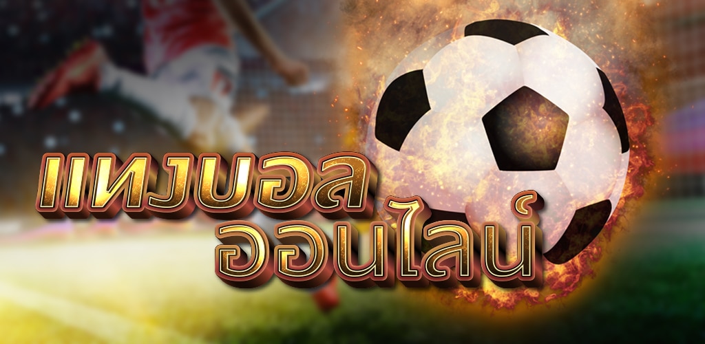 เว็บแทงบอล77